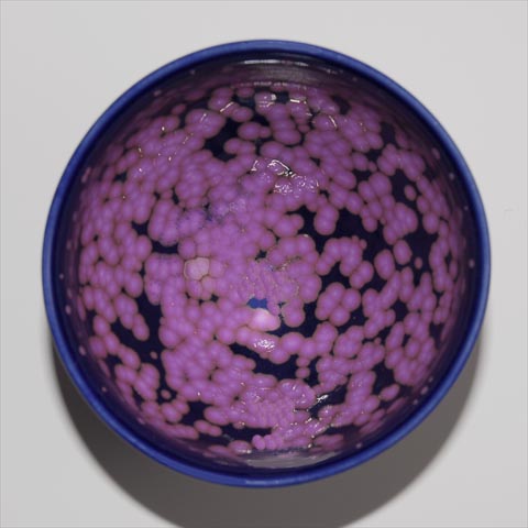 桜花紋天目型ぐい呑